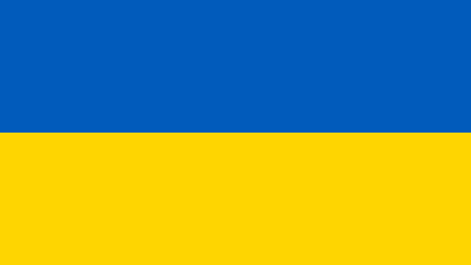 flag ukrainy7